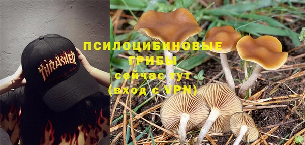 jwh Богородск
