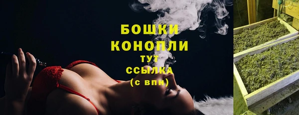 шишки Богданович