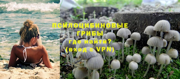 шишки Богданович
