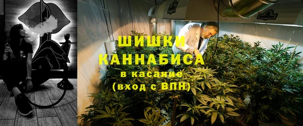 шишки Богданович