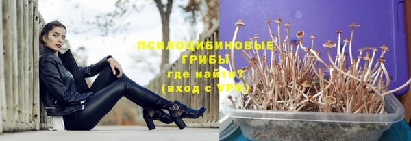 мескалин Богородицк
