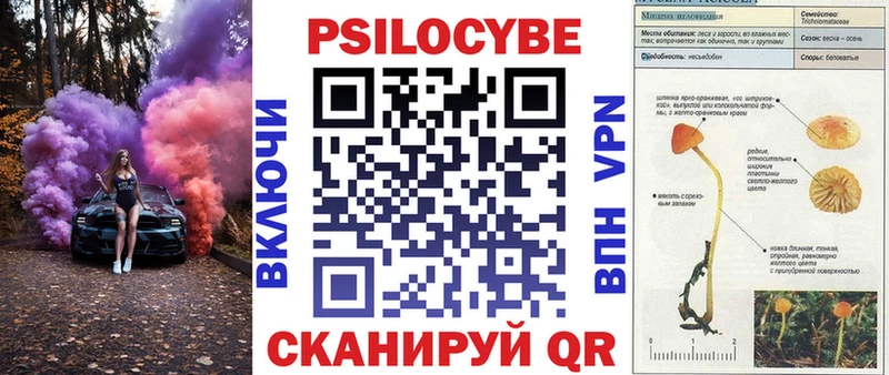 Псилоцибиновые грибы Magic Shrooms  Демидов 